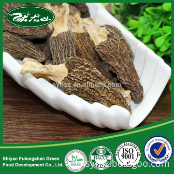 Precious Wild Natural Dried Morel Mushrooms Prices